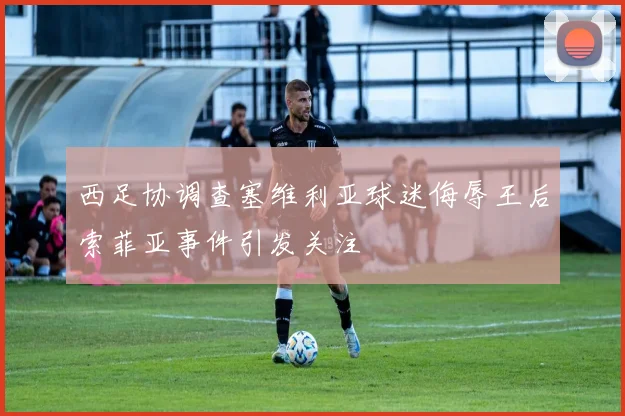 西足协调查塞维利亚球迷侮辱王后索菲亚事件引发关注
