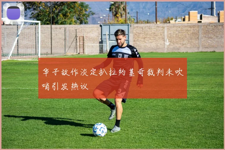 华子故作淡定扒拉约基奇裁判未吹哨引发热议